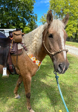 Load image into Gallery viewer, Sunflower Mohair Breast Collar