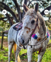 Load image into Gallery viewer, Colorful Too Mohair Breast Collar