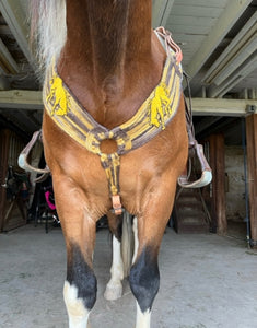 Custom Mohair Breast Collar & Cinch