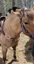 Load image into Gallery viewer, Custom Mohair Breast Collar &amp; Cinch