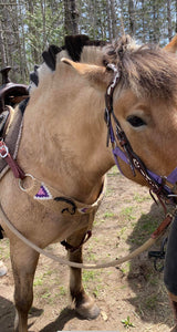 Custom Mohair Breast Collar & Cinch