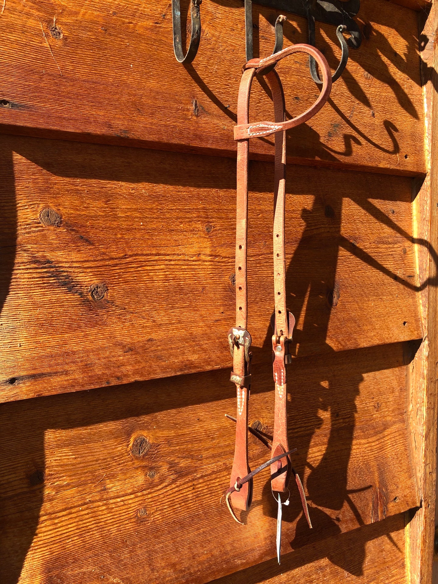 Rolled Ear Headstall