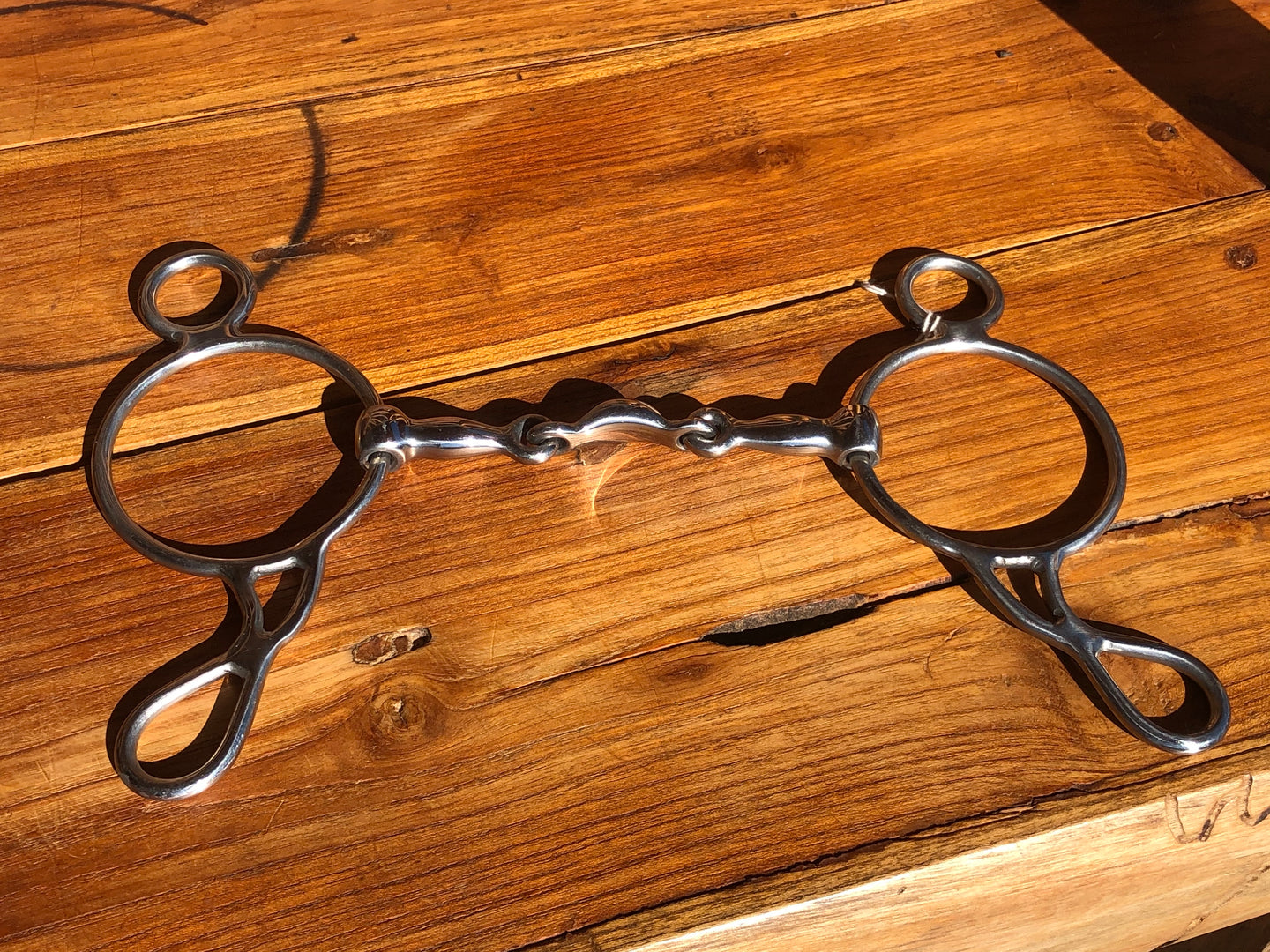 Ring Gag Bit
