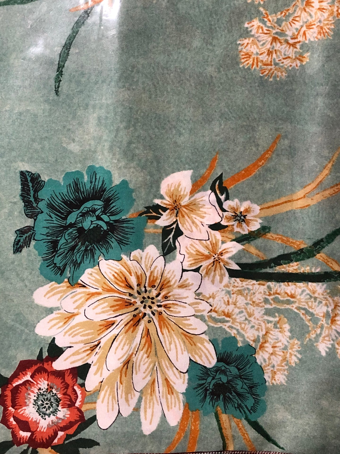 Wild Rags