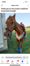 Load image into Gallery viewer, Serape Mohair Breast Collar