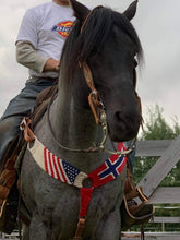Load image into Gallery viewer, US Plus Flags Mohair Breast Collar