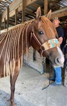 Load image into Gallery viewer, Mohair Bronc Noseband