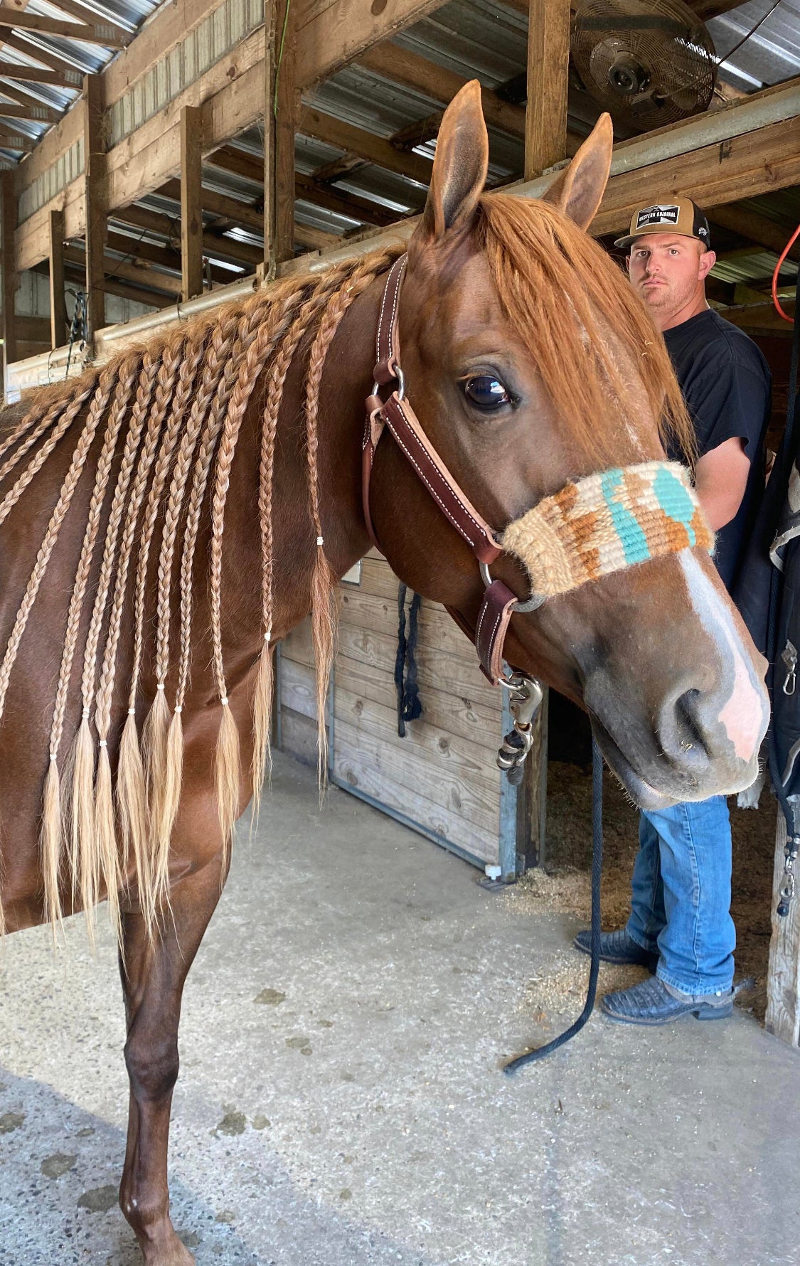 Mohair Bronc Noseband