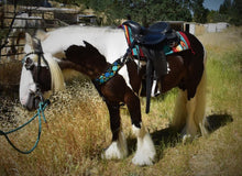 Load image into Gallery viewer, Run For The Roses Mohair Breast Collar