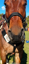 Load image into Gallery viewer, Card Suits Mohair Breast Collar