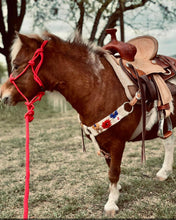 Load image into Gallery viewer, Wildflower Mohair Breast Collar