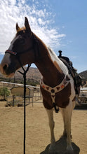 Load image into Gallery viewer, Custom Mohair Breast Collar &amp; Cinch
