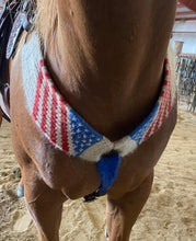 Load image into Gallery viewer, American Flag Mohair Breast Collar