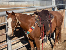 Load image into Gallery viewer, Serape Mohair Breast Collar